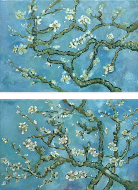 Apricot Blossom